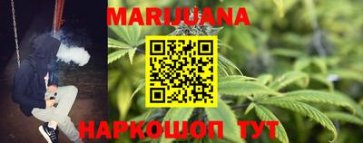 Альфа ПВП Кандалакша