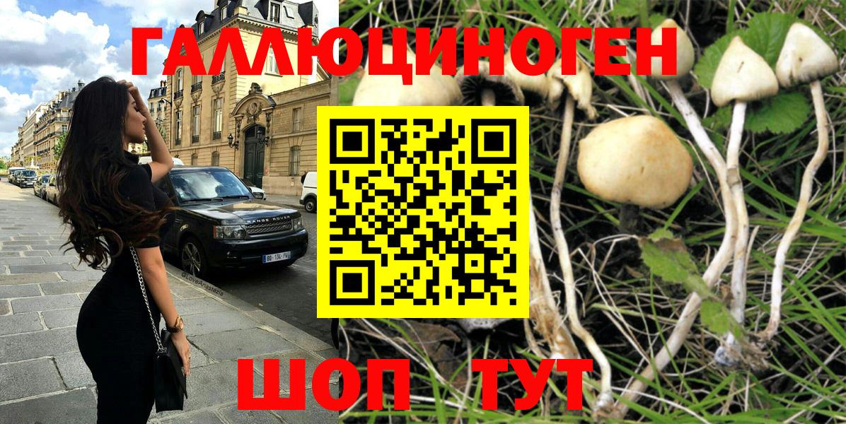 Кызыл  купить наркотики сайты  Вход с VPN  Псилоцибиновые грибы Psilocybine cubensis 